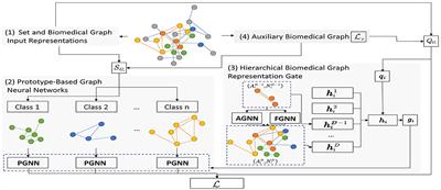 SeBioGraph: Semi-supervised Deep Learning for the Graph via Sustainable Knowledge Transfer